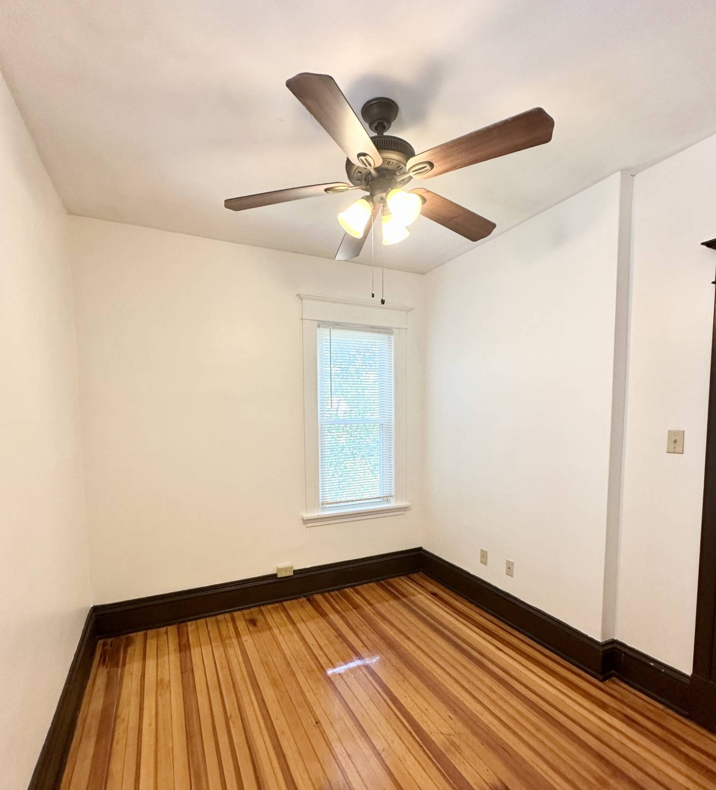 #15 photo, 423 Hamilton St, #Floor 2, Albany , NY 12203