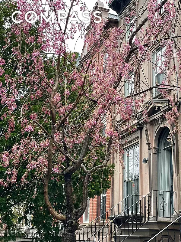 #11 photo, Brooklyn, Bedford-Stuyvesant , NY 11238