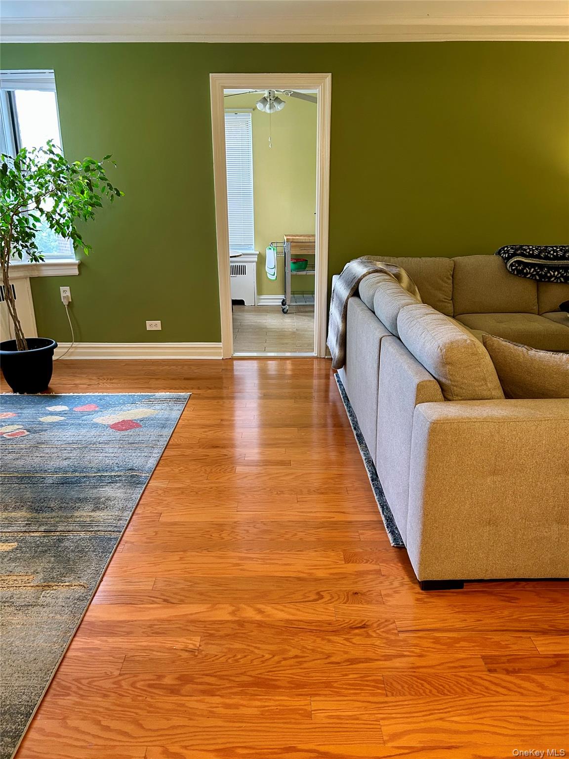 #11 photo, 474 W 238th Street, Bronx , NY 10463