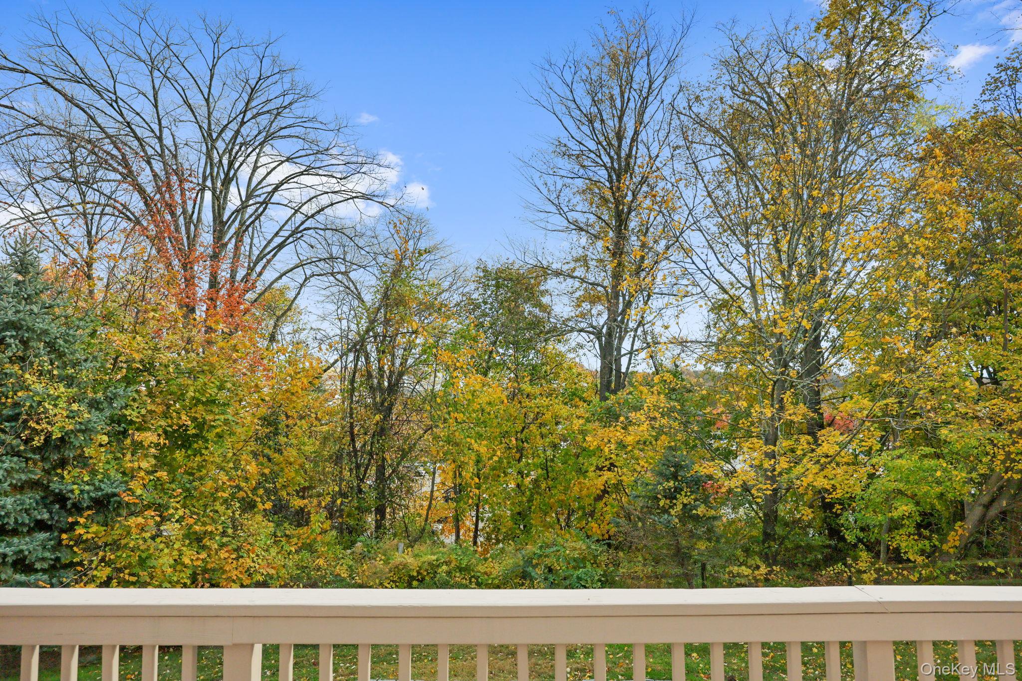 #17 photo, 45 High Point Circle, Rye Brook , NY 10573