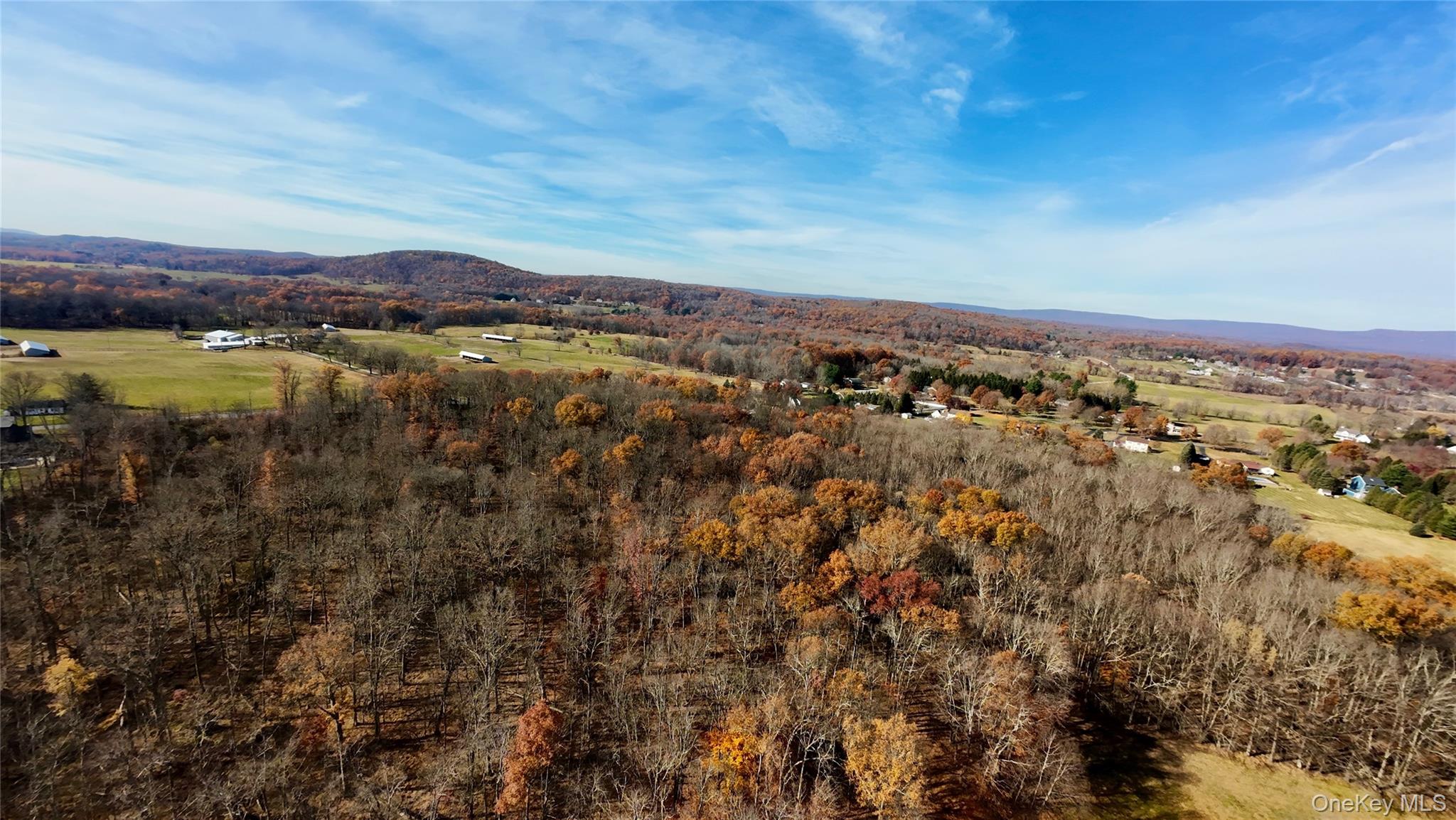 #10 photo, 109 White Birch Lane, Montgomery , NY 12549