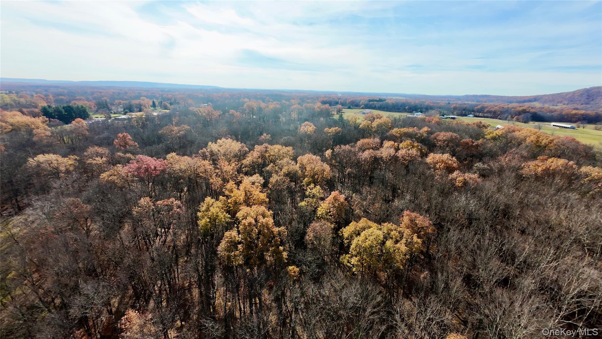 #14 photo, 109 White Birch Lane, Montgomery , NY 12549