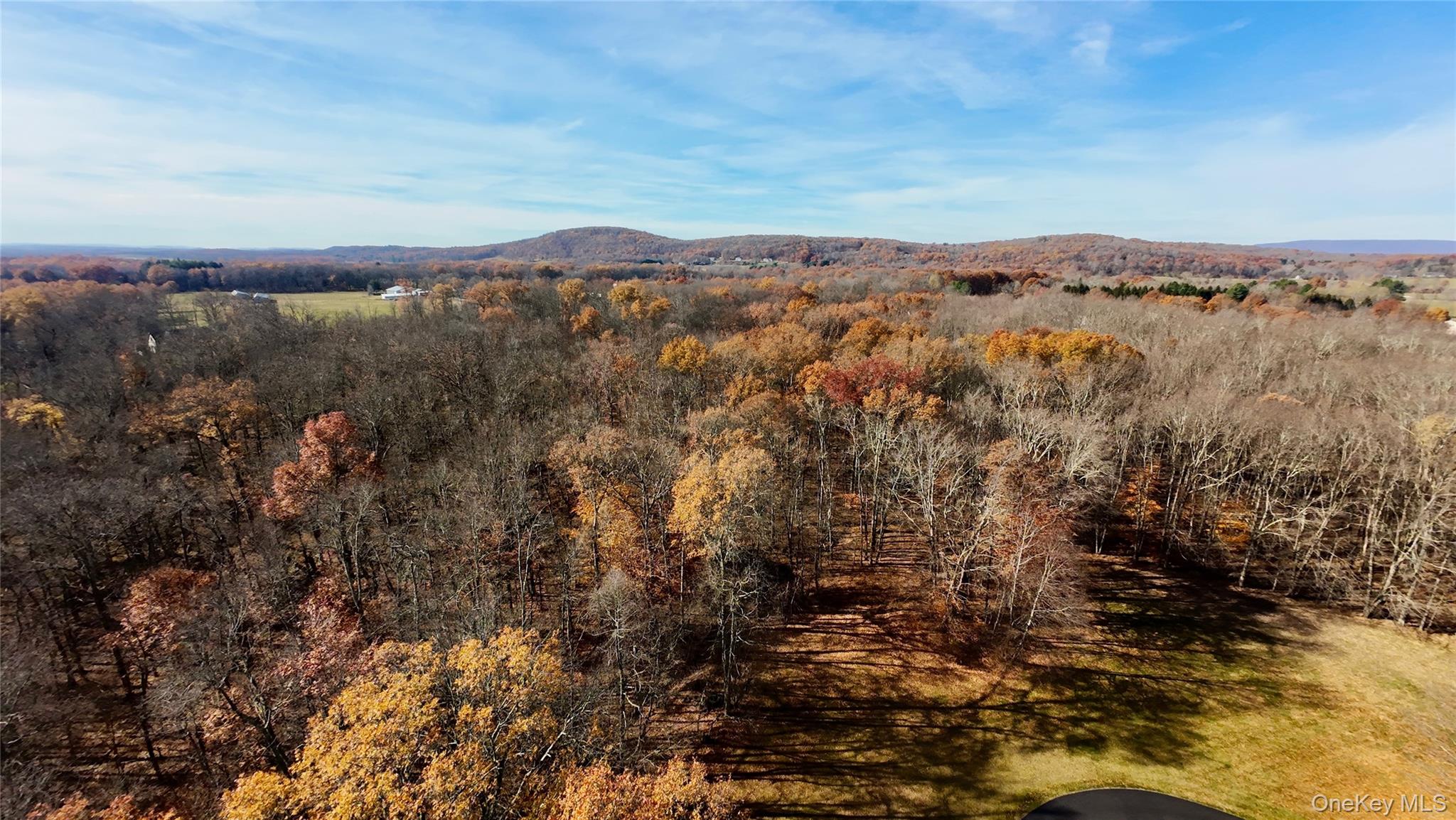 #2 photo, 109 White Birch Lane, Montgomery , NY 12549