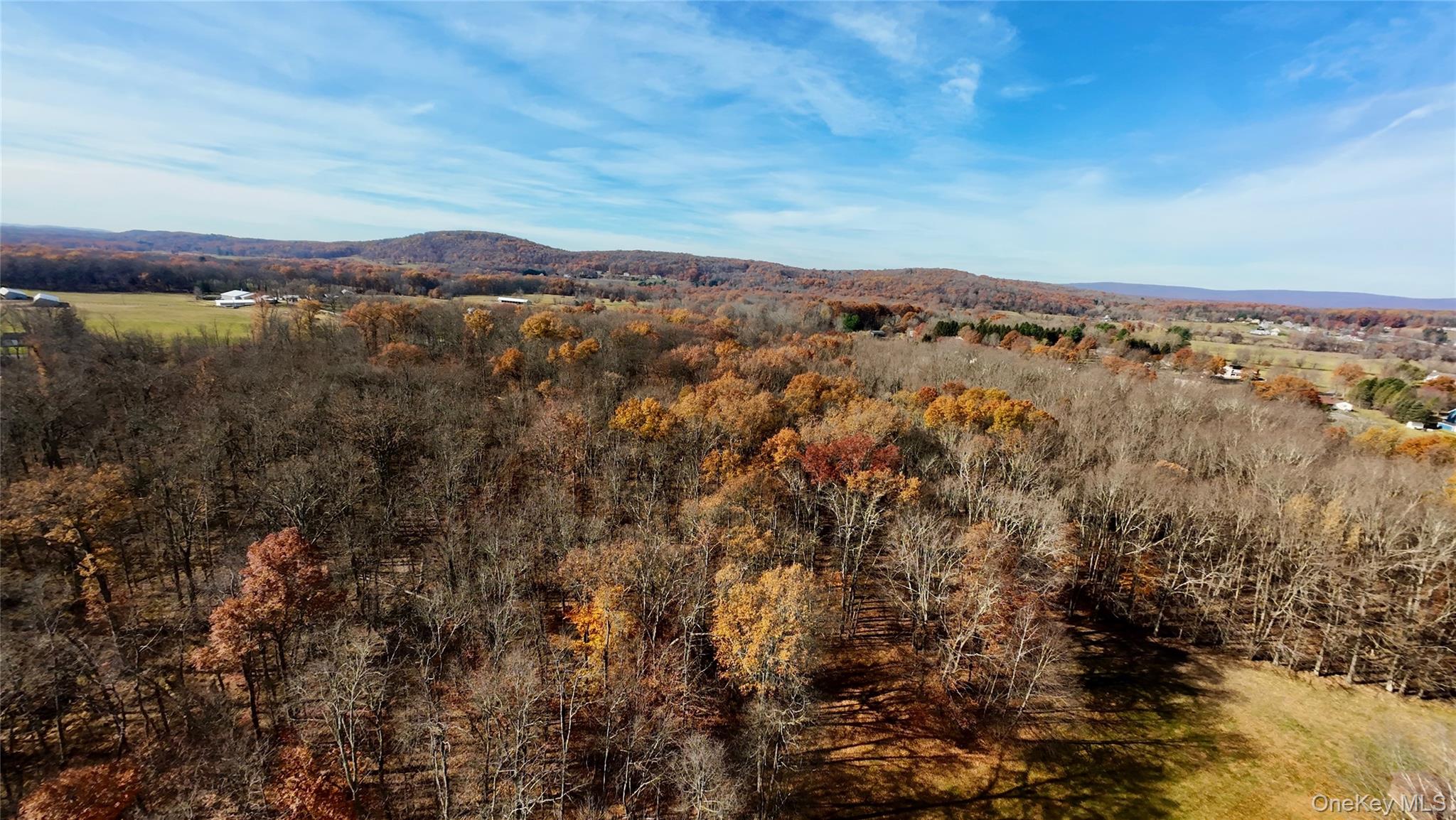 #3 photo, 109 White Birch Lane, Montgomery , NY 12549