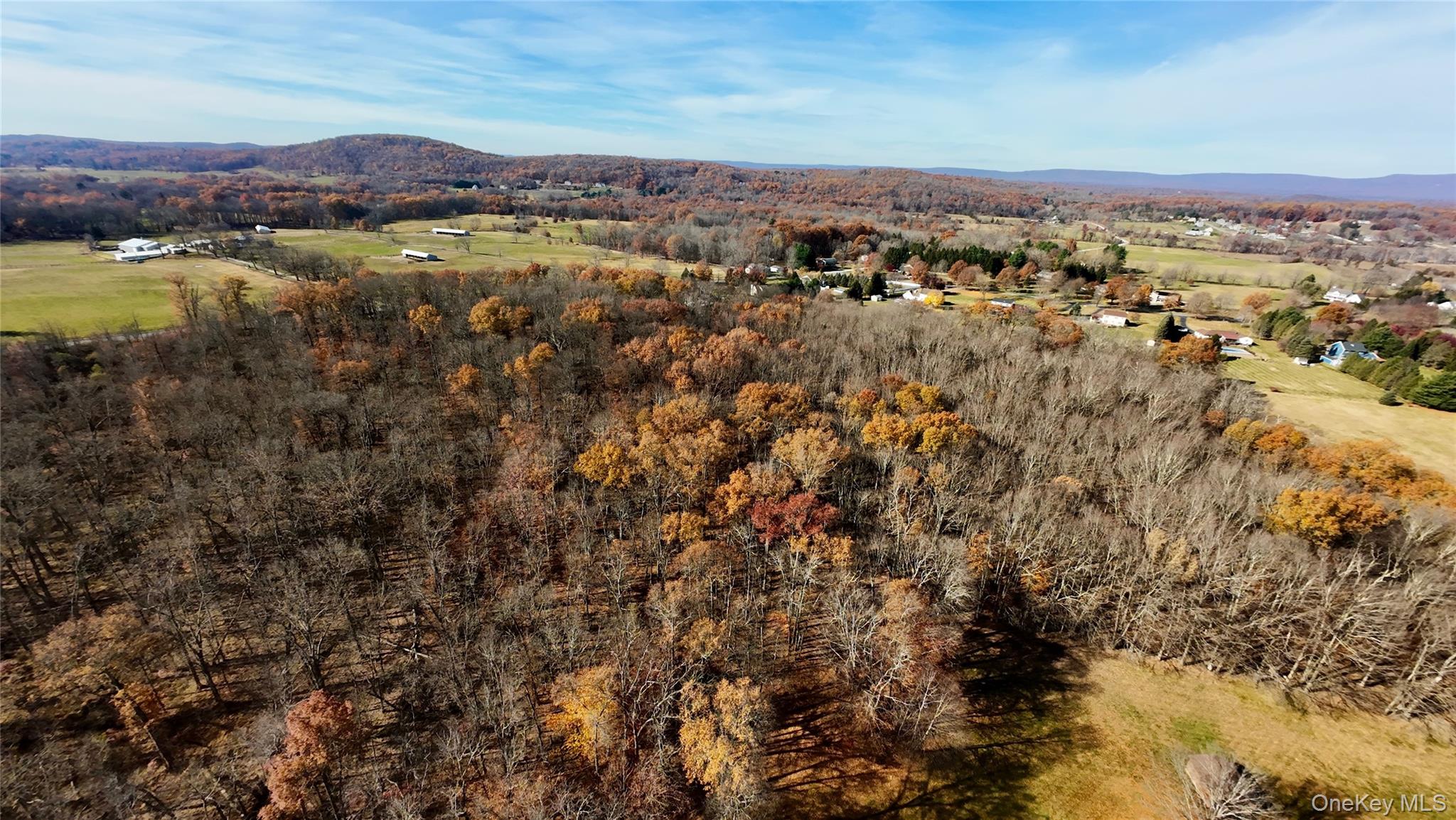 #4 photo, 109 White Birch Lane, Montgomery , NY 12549