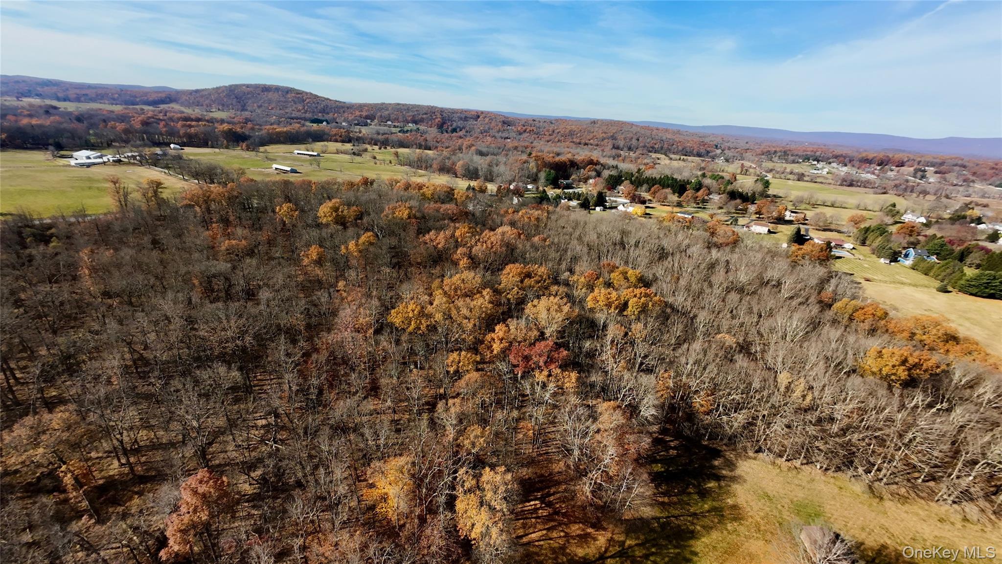 #5 photo, 109 White Birch Lane, Montgomery , NY 12549