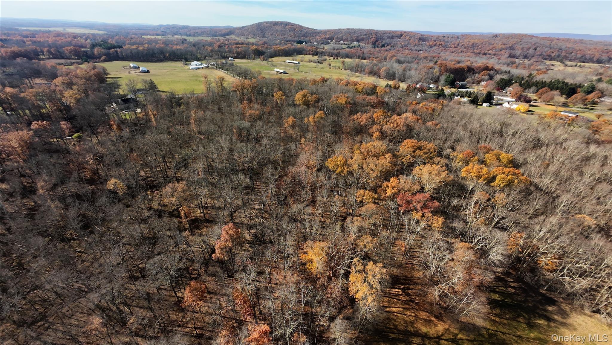 #6 photo, 109 White Birch Lane, Montgomery , NY 12549