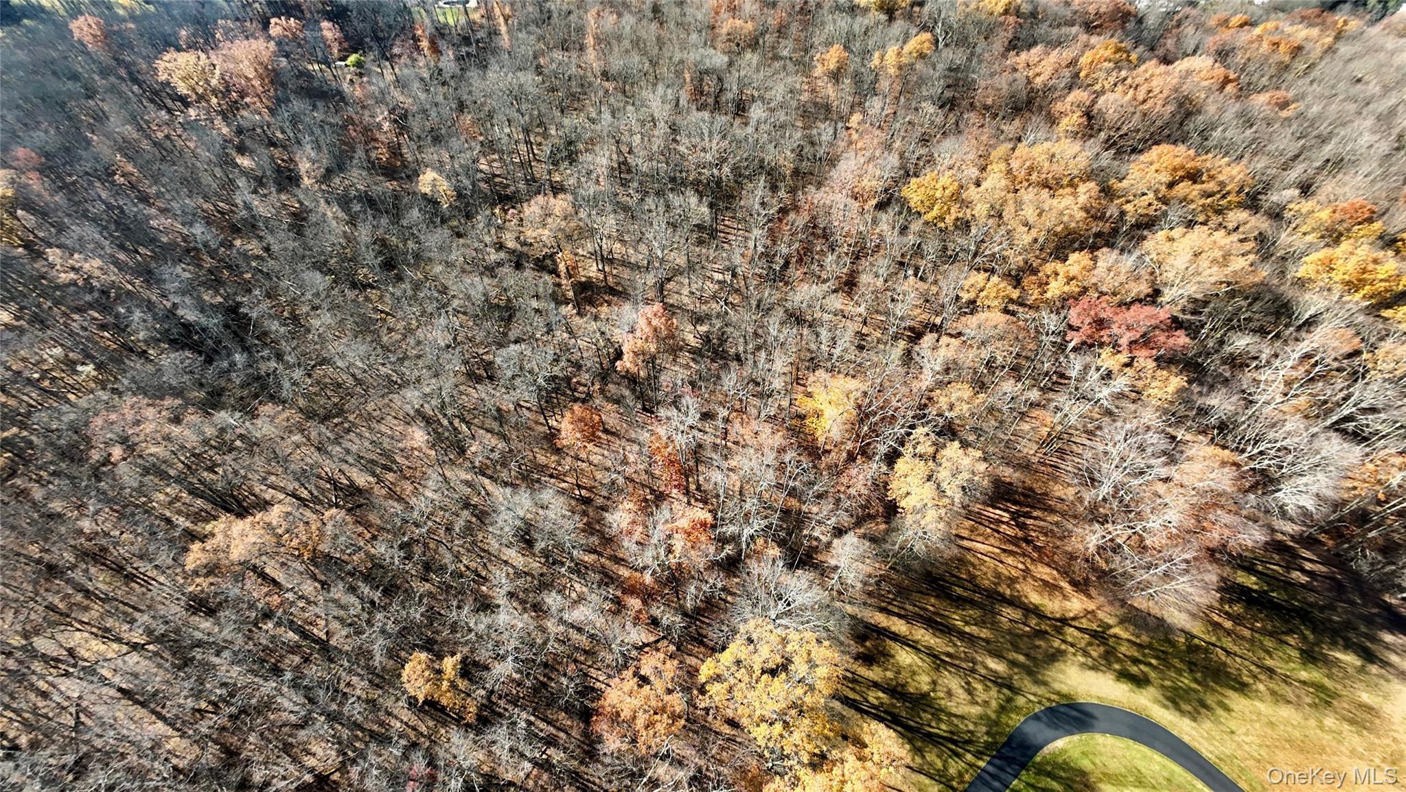 #7 photo, 109 White Birch Lane, Montgomery , NY 12549