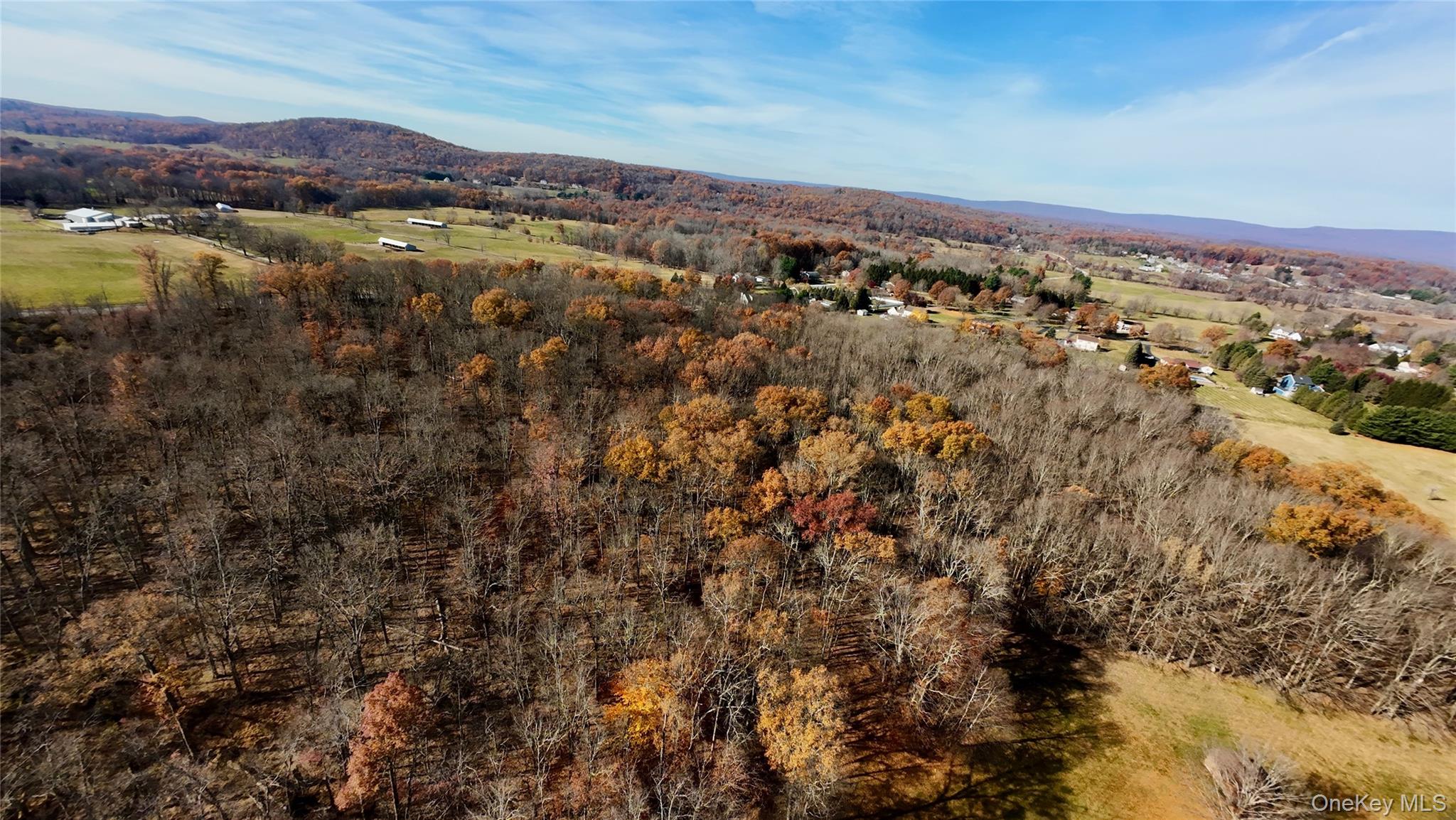 #8 photo, 109 White Birch Lane, Montgomery , NY 12549