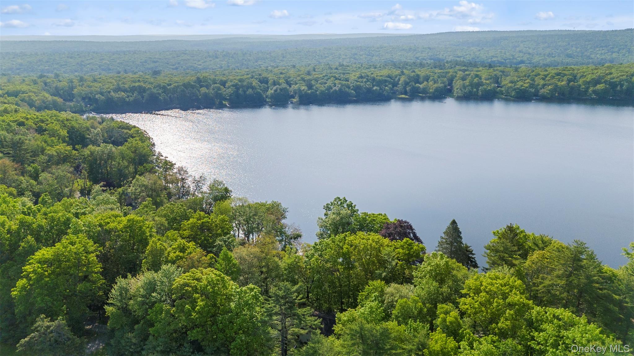 #8 photo, 16 Fairway Drive, Highland Lake , NY 12743