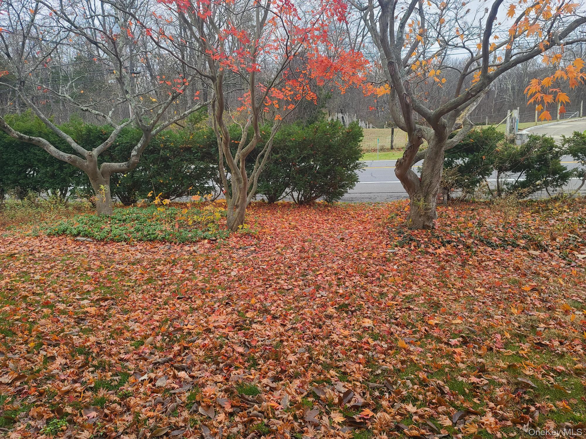 #11 photo, 1547 Route 9, Tivoli , NY 12583