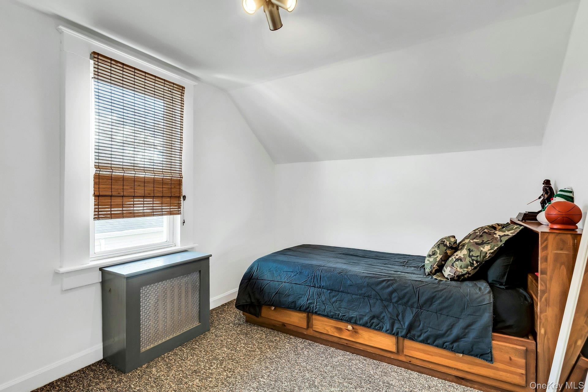 #19 photo, 36 Roslyn Street, Islip Terrace , NY 11752