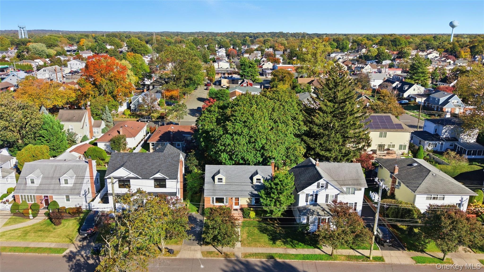 #12 photo, 65 Grant Avenue, Albertson , NY 11507