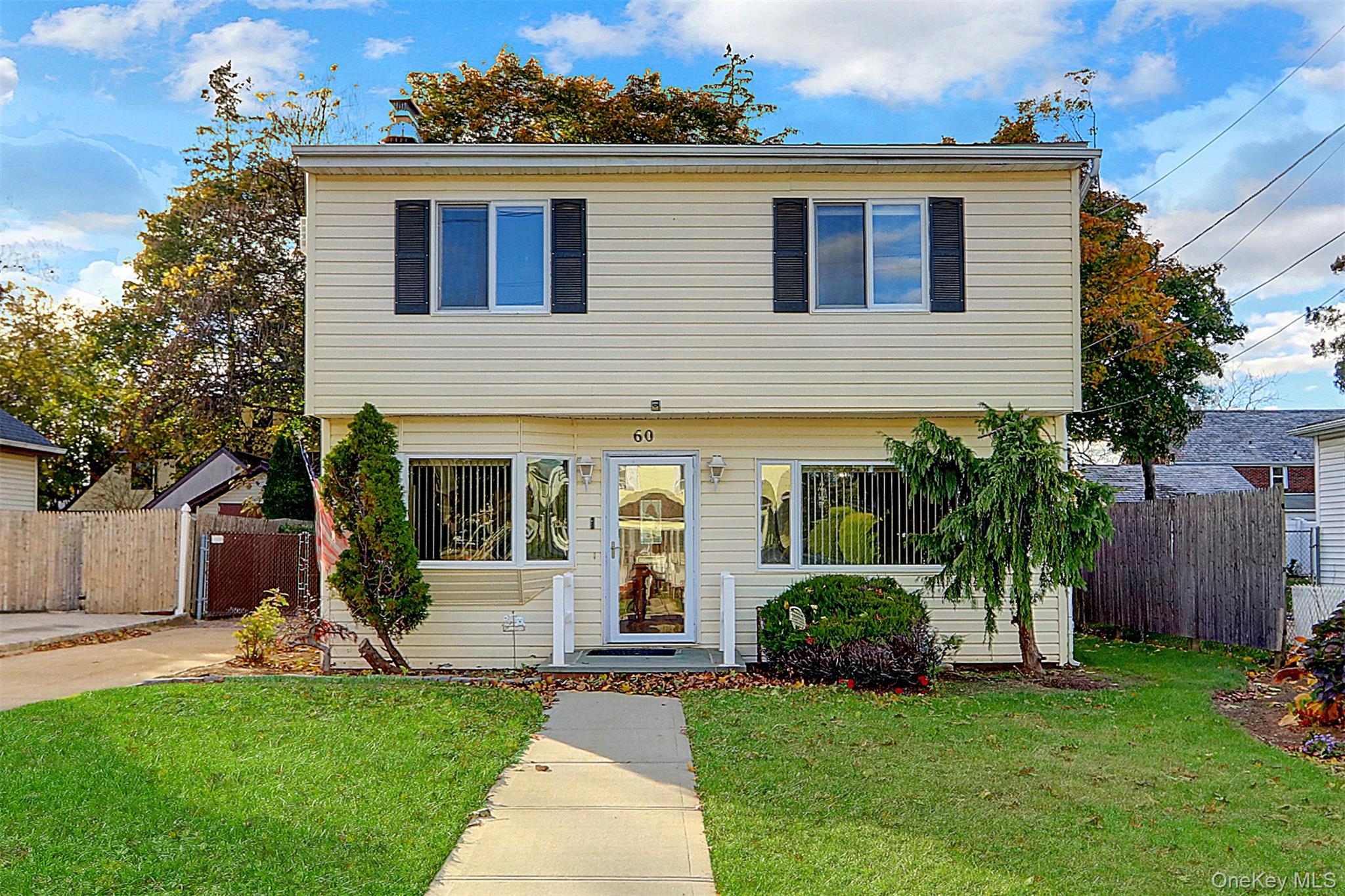 #1 photo, 60 Parsons Drive, Hempstead , NY 11550