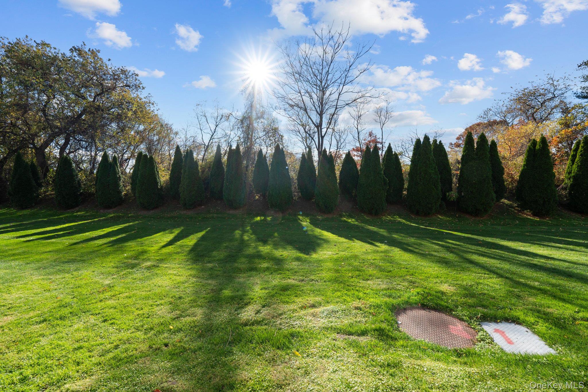 #16 photo, 49 Freedom Lane, Coram , NY 11727