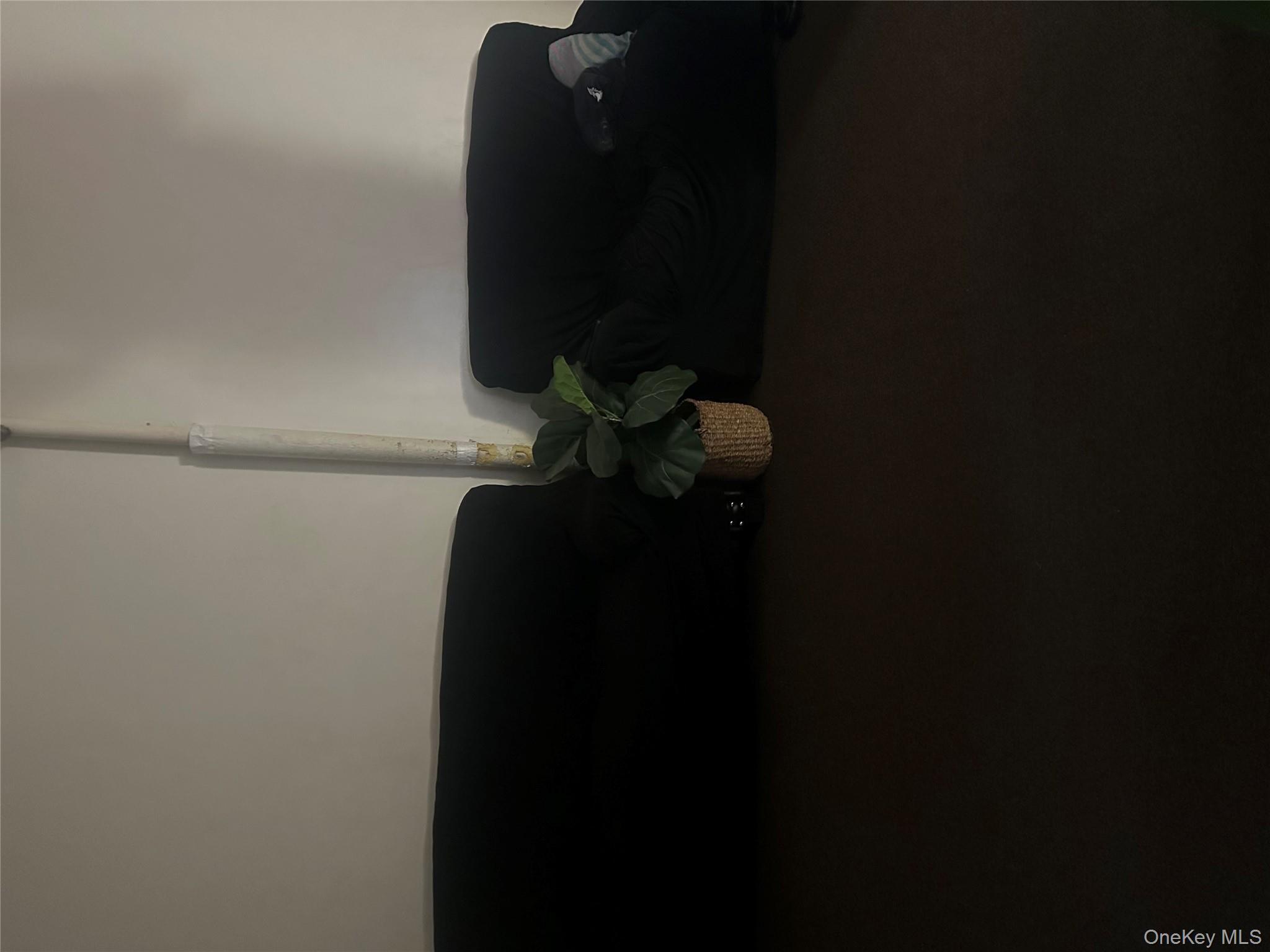 #14 photo, 100-08 101st Avenue, কুইন্‌স Ozone Park , NY 11416