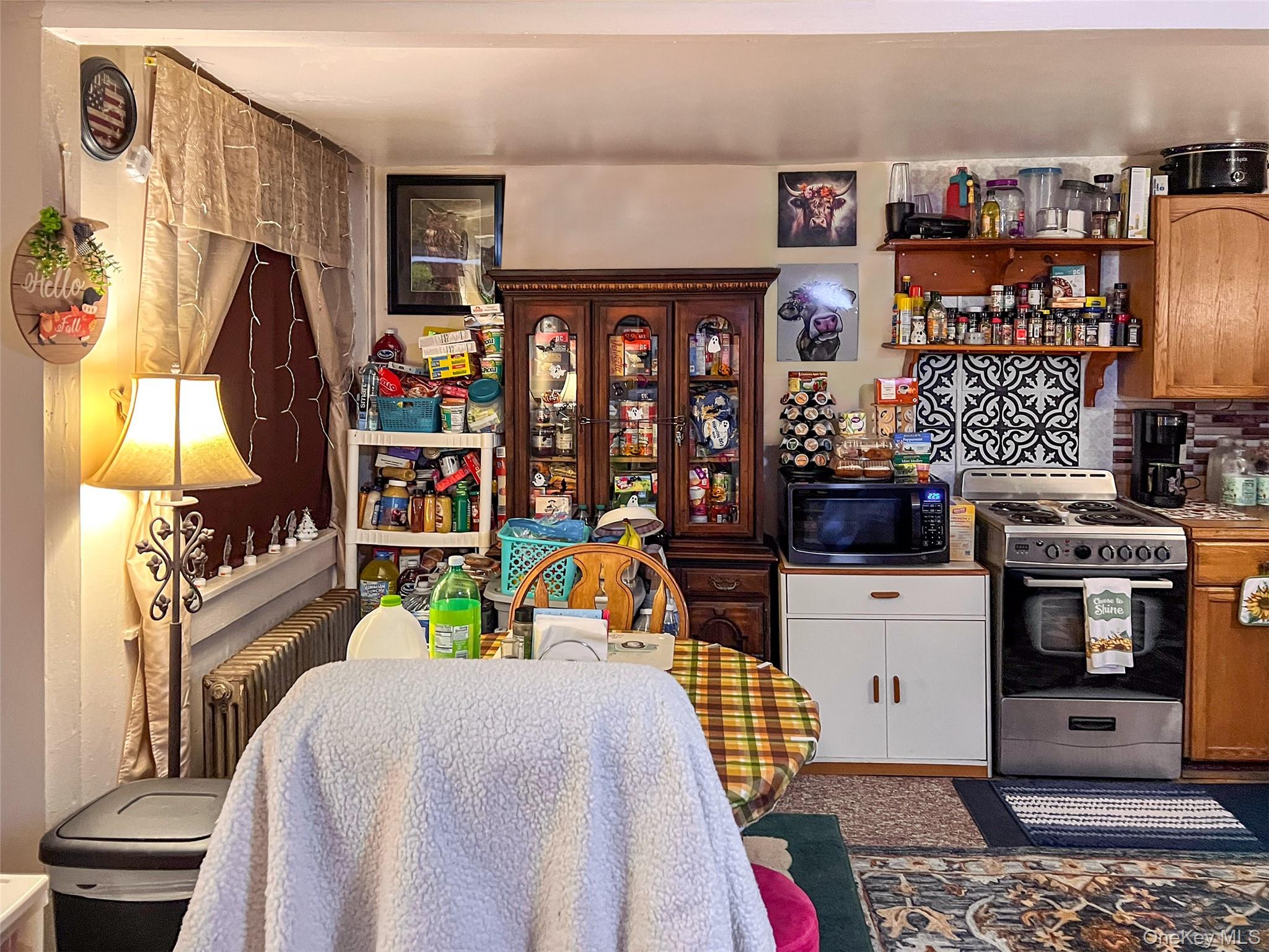 #10 photo, 153 Main Street, Delhi , NY 13753