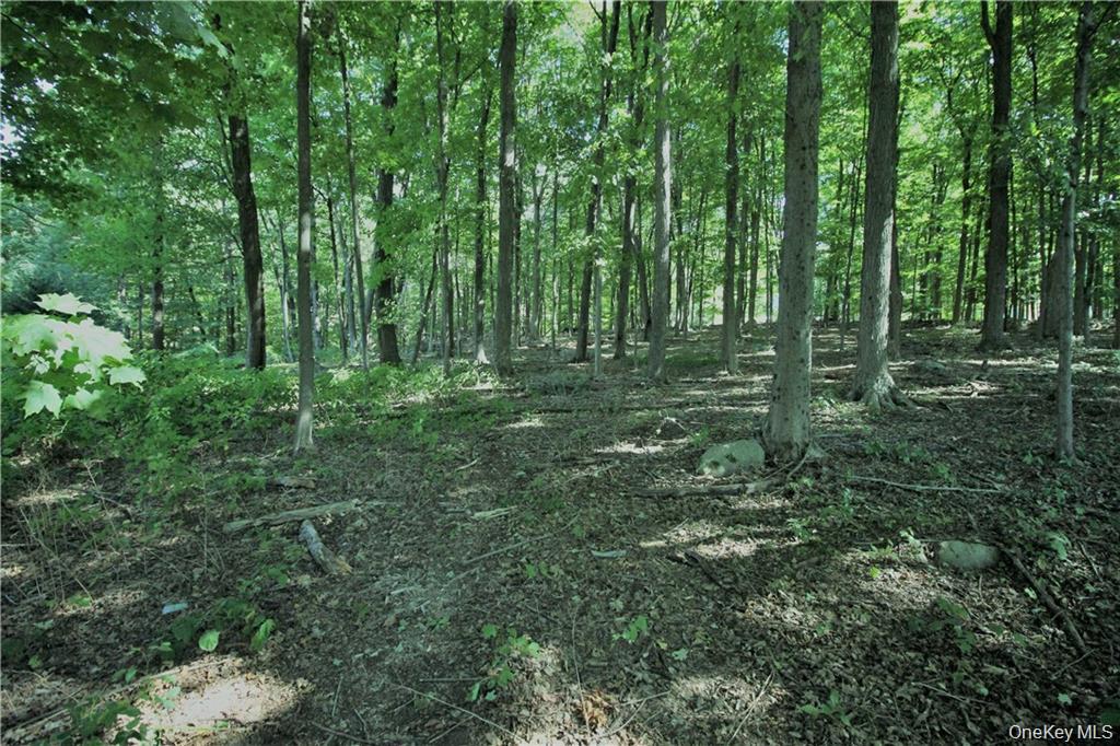 #1 photo, 58-62 Walmer Lane, Cold Spring , NY 10516