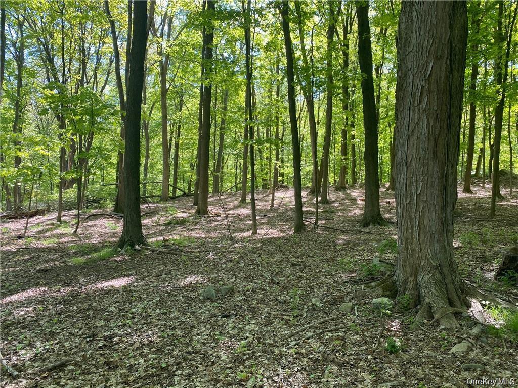 #4 photo, 58-62 Walmer Lane, Cold Spring , NY 10516