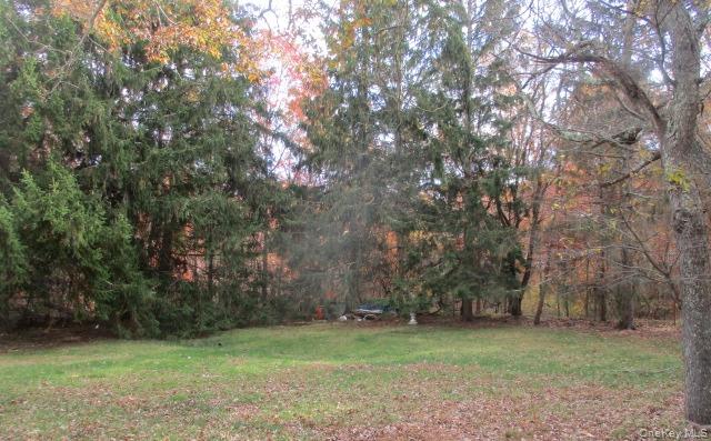 #10 photo, 4 Evans Street, Coram , NY 11727