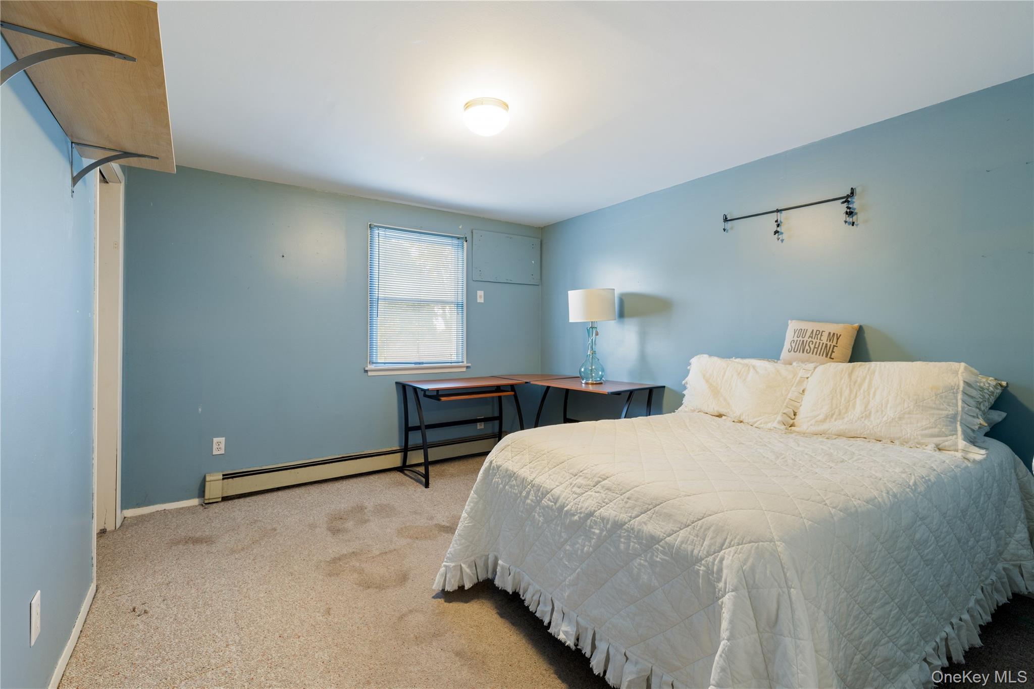 #15 photo, 959 N 5th Street, New Hyde Park , NY 11040