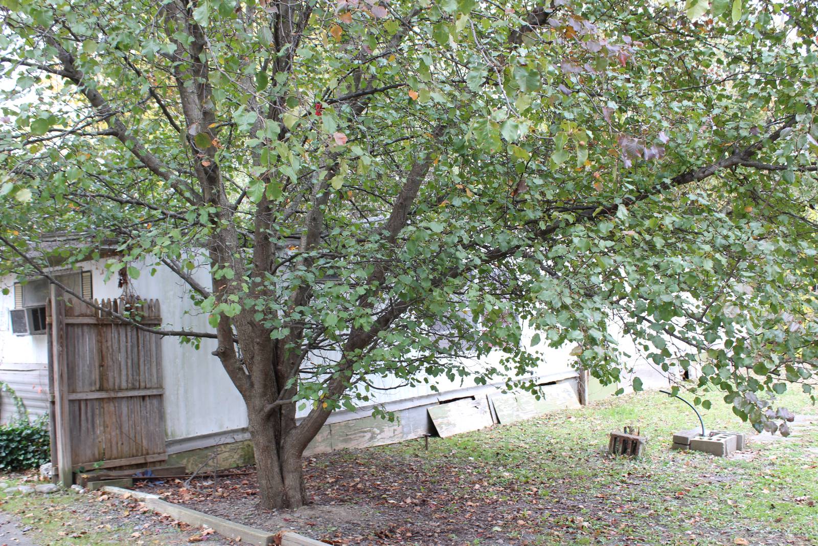 #12 photo, 249 S Plank, Newburgh , NY 12550