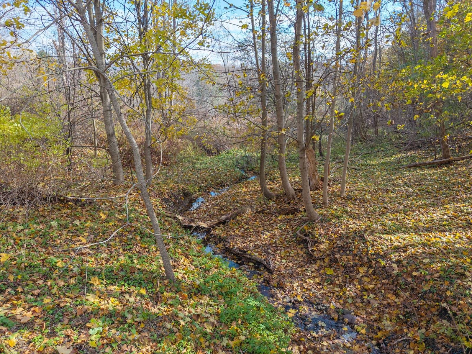 #60 photo, 17 Walnut Street, Cooperstown , NY 13326