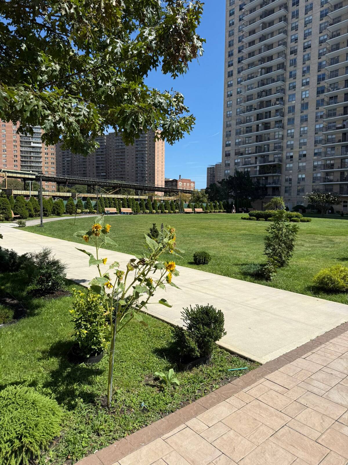 #49 photo, 601 Surf Ave, Coney Island , NY 11224