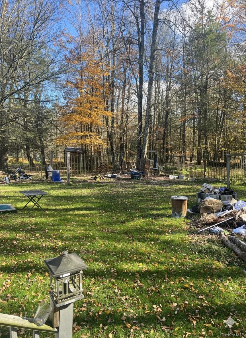 #12 photo, 47 Eldridge Street, Smallwood , NY 12720