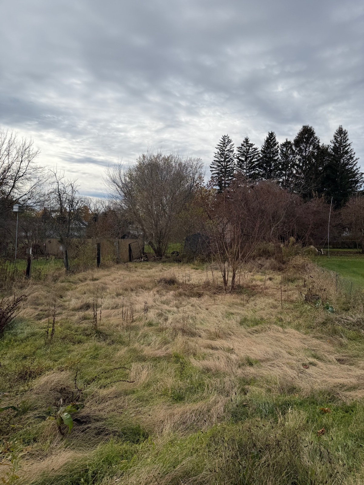 #2 photo, 316 Dewey ave, Herkimer , NY 13350