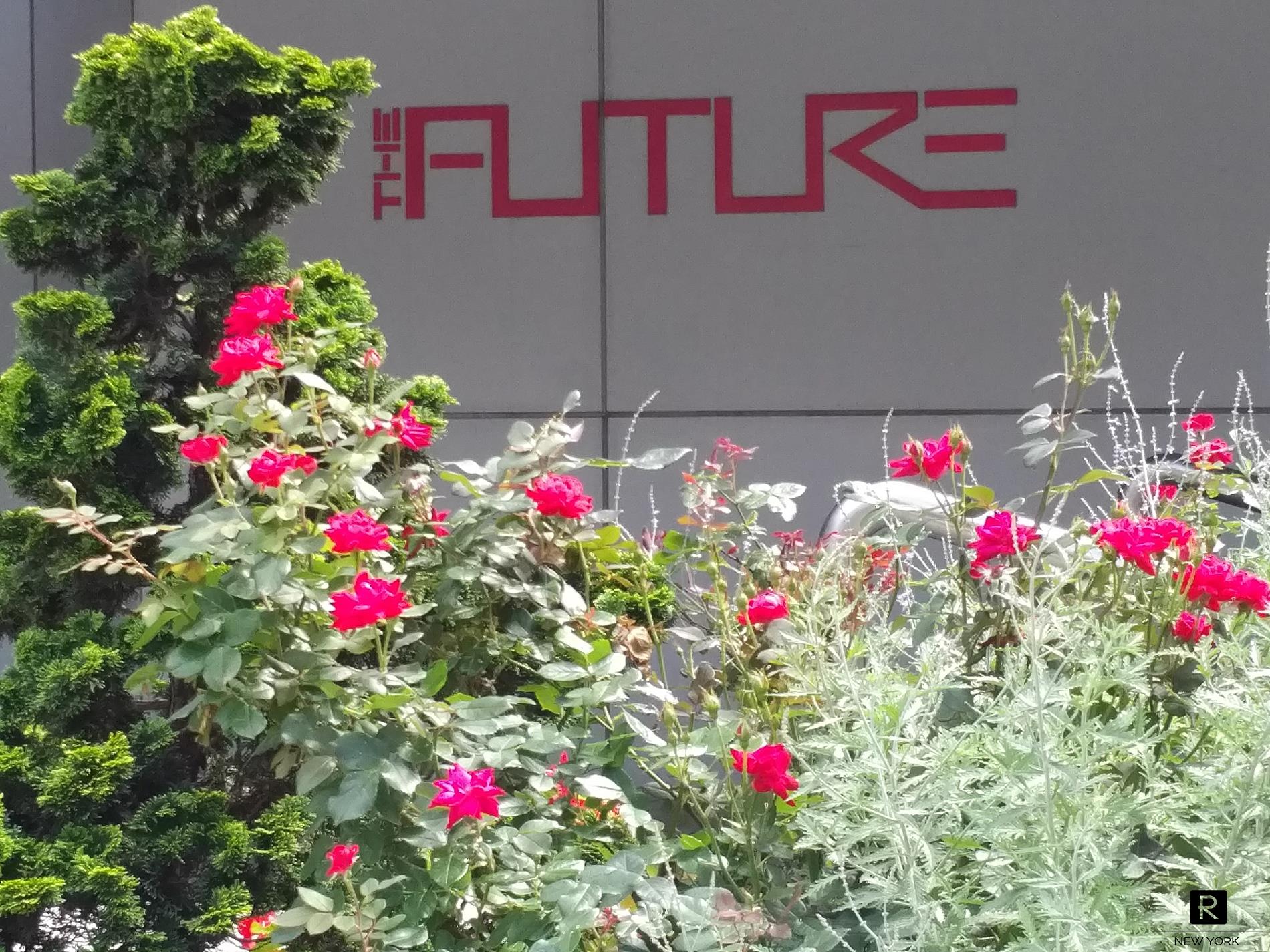 #16 photo, New York City, Kips Bay , NY 10016