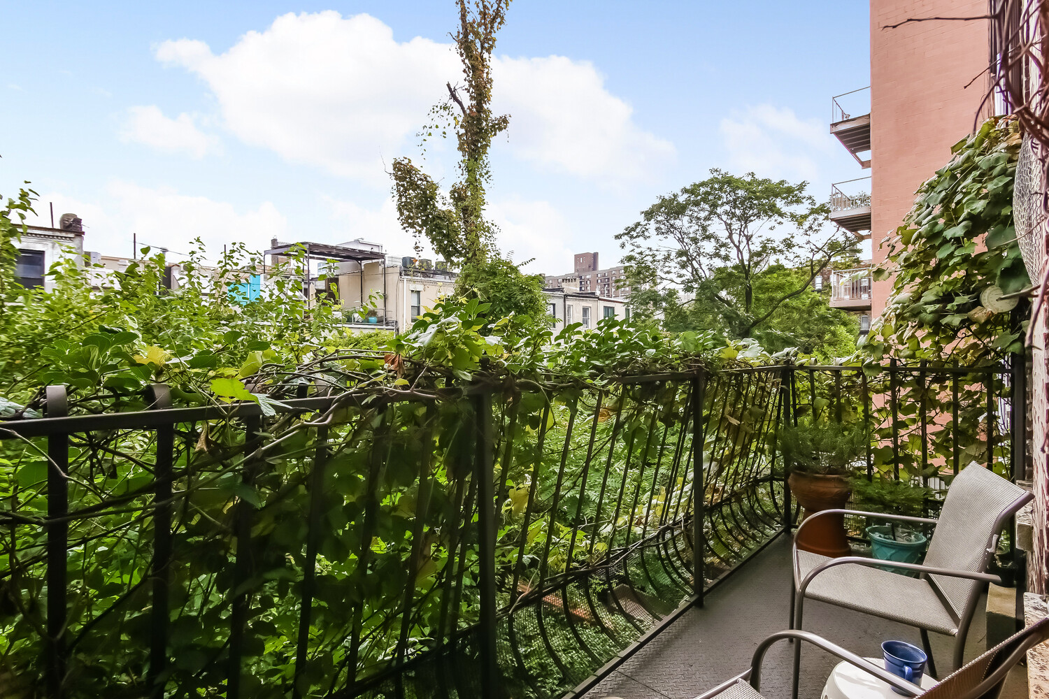 #3 photo, New York City, Central Harlem , NY 10027