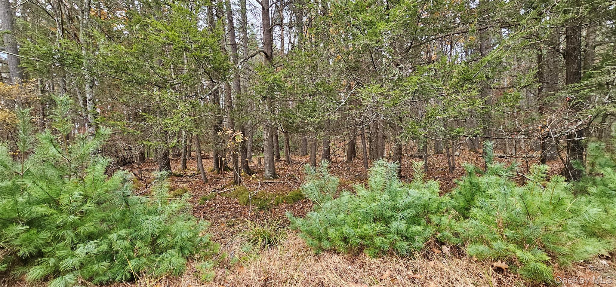 #10 photo, Lot 28 Summit Drive, Yulan , NY 12792