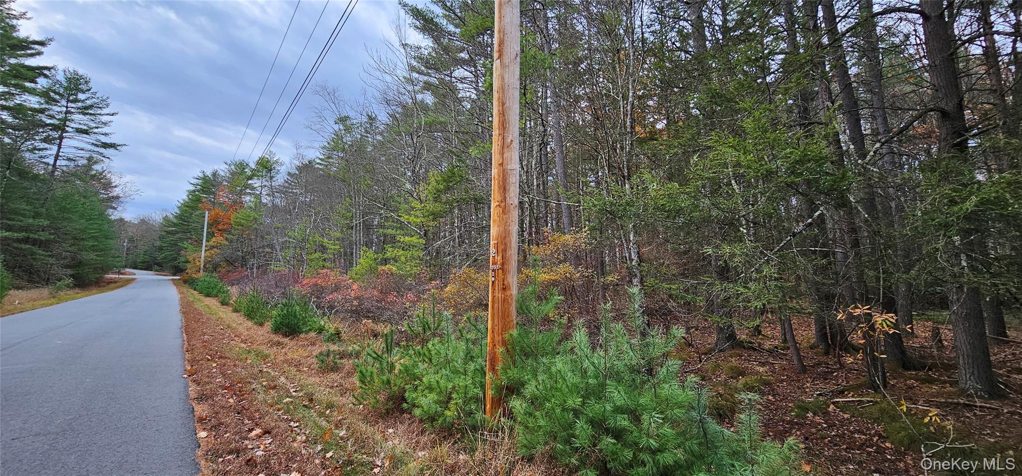 #11 photo, Lot 28 Summit Drive, Yulan , NY 12792