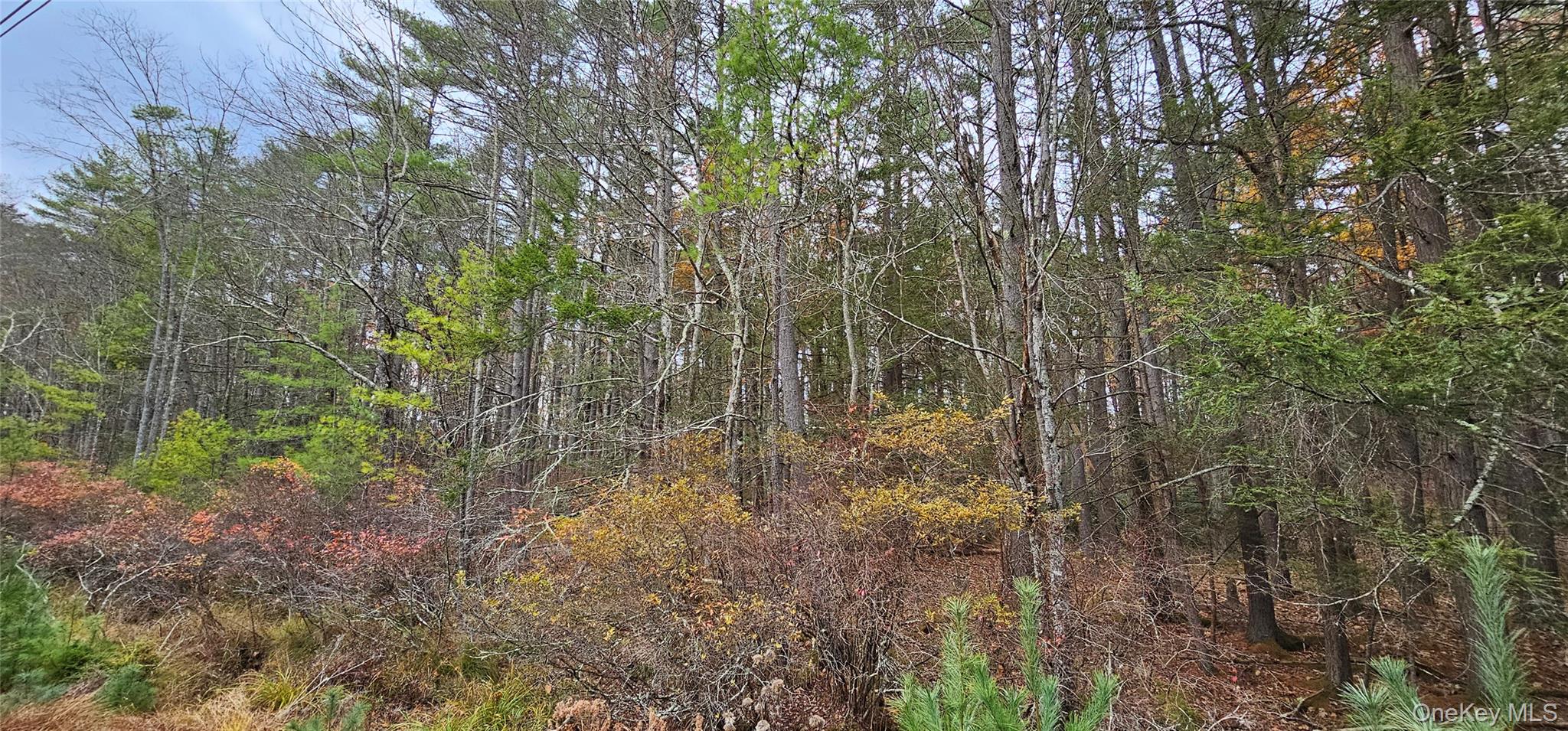 #12 photo, Lot 28 Summit Drive, Yulan , NY 12792