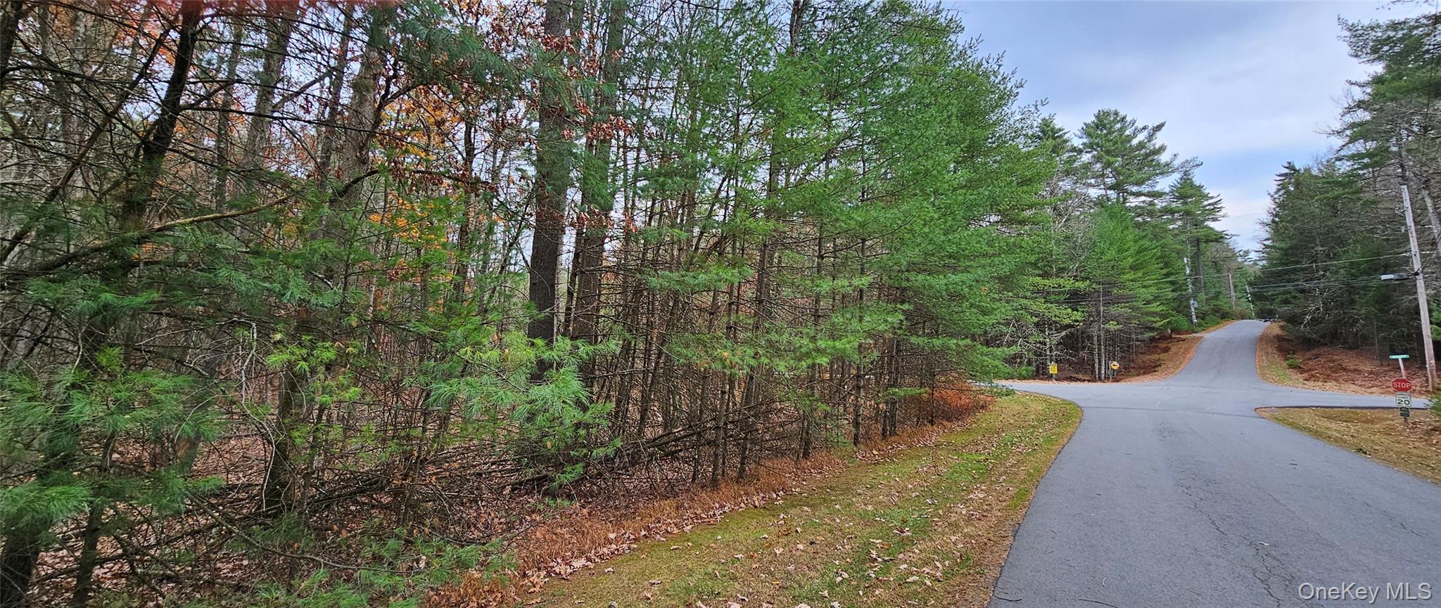 #4 photo, Lot 28 Summit Drive, Yulan , NY 12792