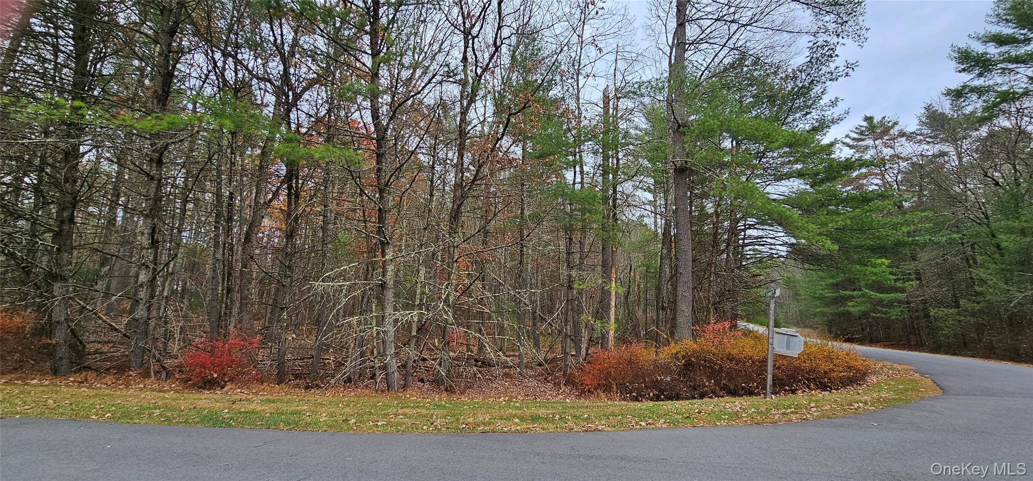 #5 photo, Lot 28 Summit Drive, Yulan , NY 12792