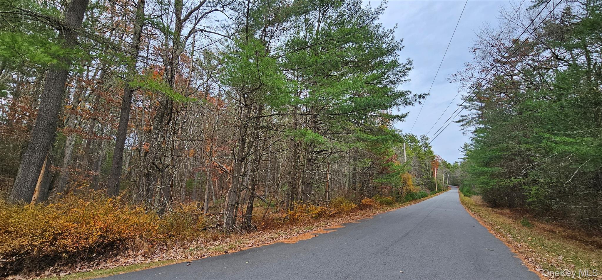 #6 photo, Lot 28 Summit Drive, Yulan , NY 12792