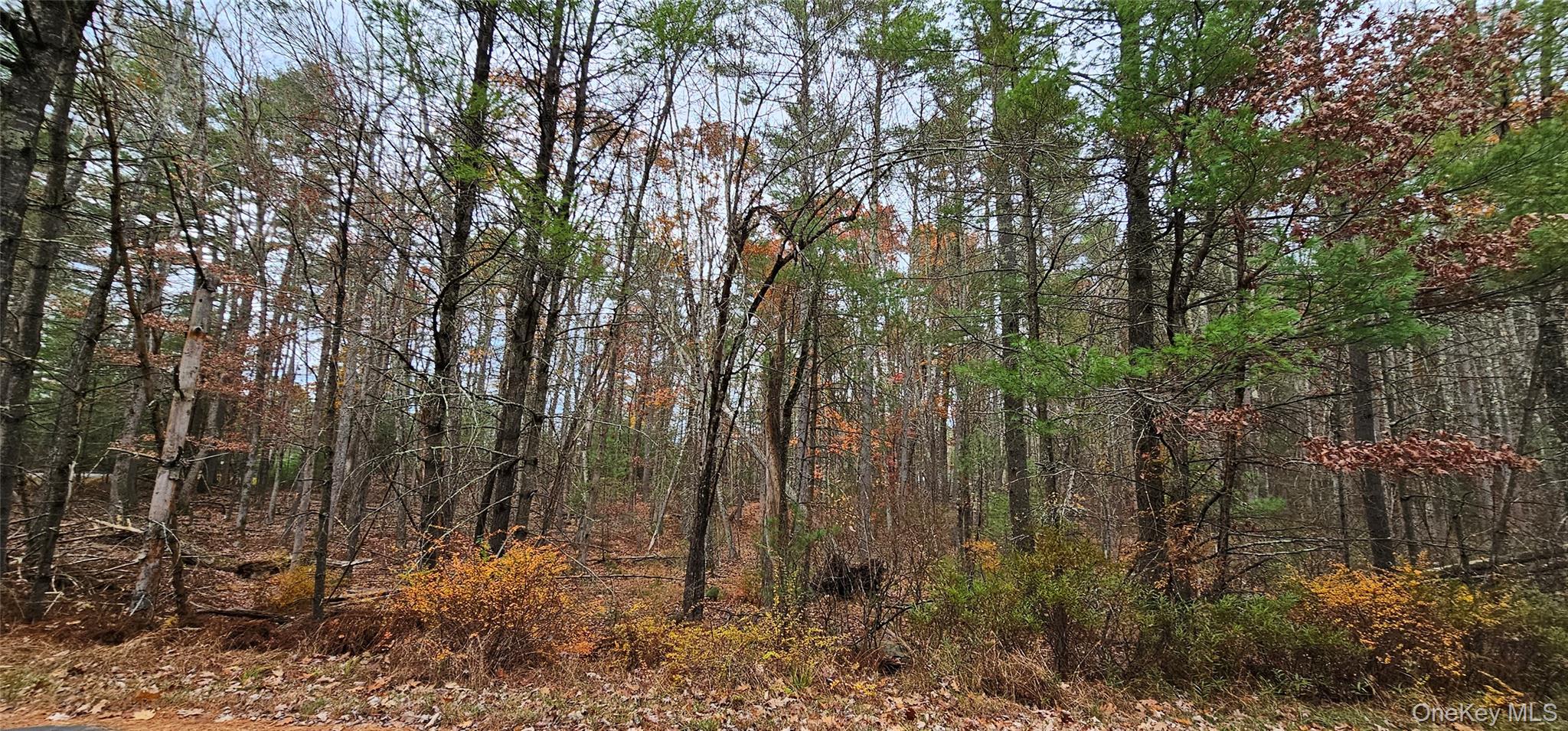 #7 photo, Lot 28 Summit Drive, Yulan , NY 12792