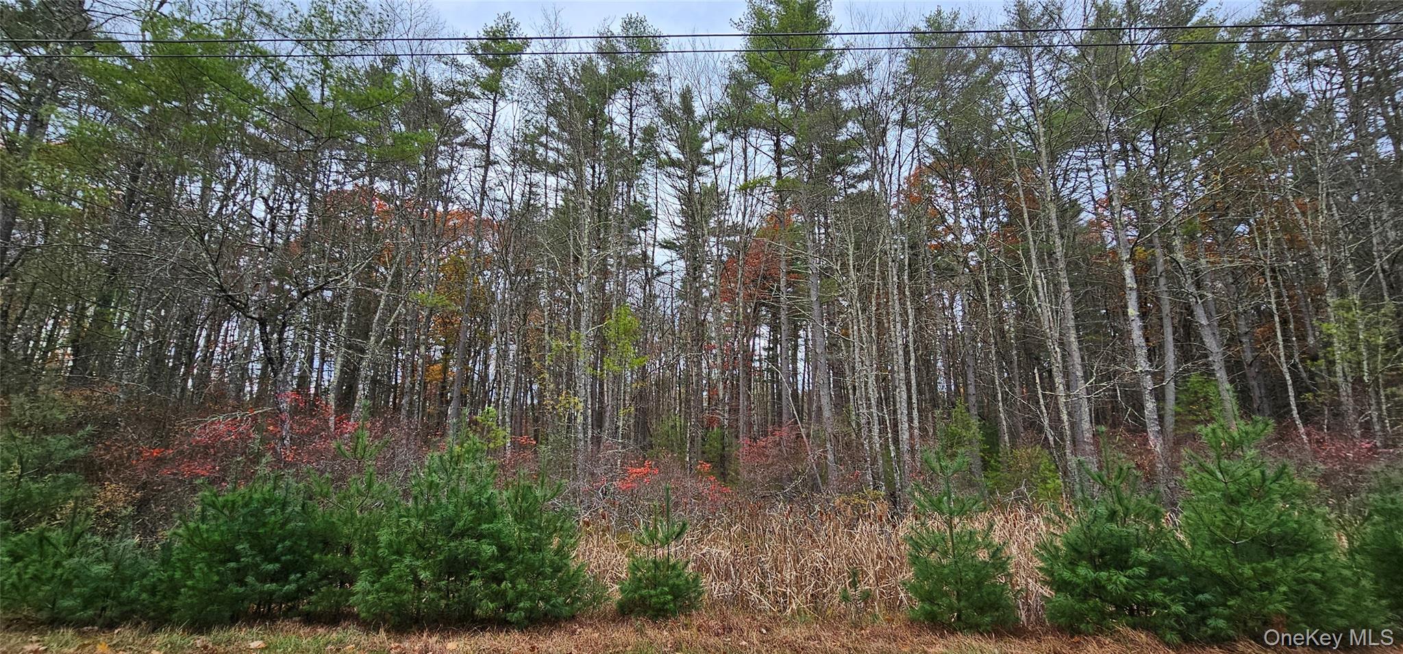 #8 photo, Lot 28 Summit Drive, Yulan , NY 12792