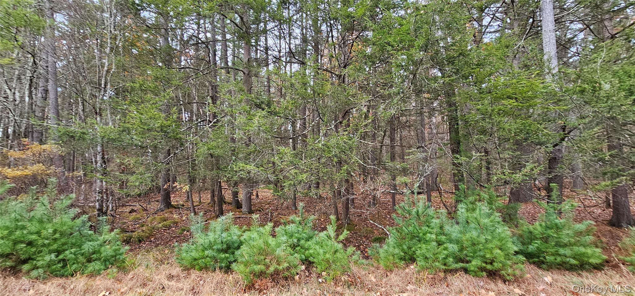 #9 photo, Lot 28 Summit Drive, Yulan , NY 12792