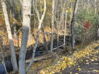 #4 photo, 7 Highland Lake Road, Eldred , NY 12743