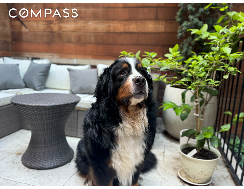 #17 photo, 267 W 71st Street, Upper West Side , NY 10023