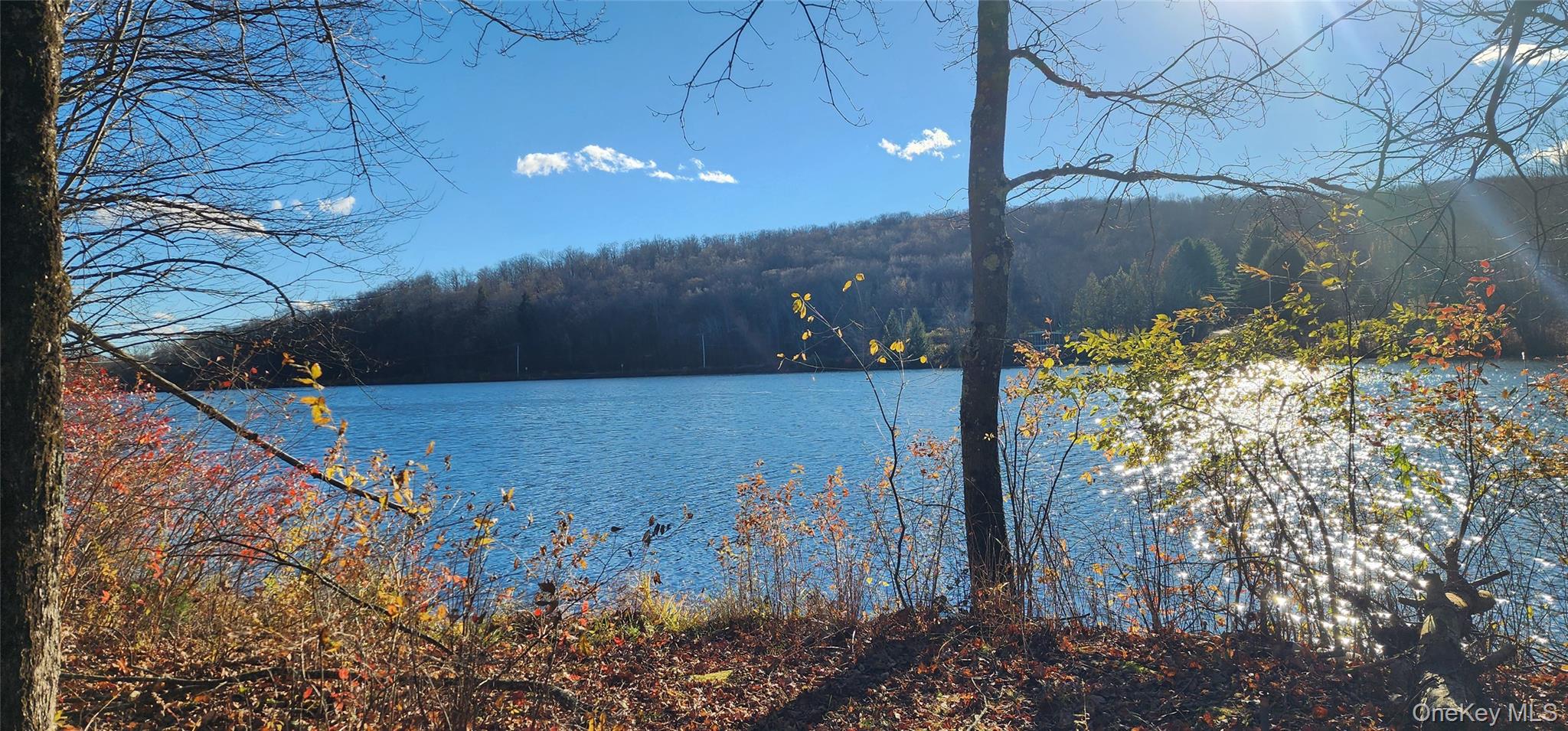 #15 photo, 371 Kelly Bridge Road, Swan Lake , NY 12783