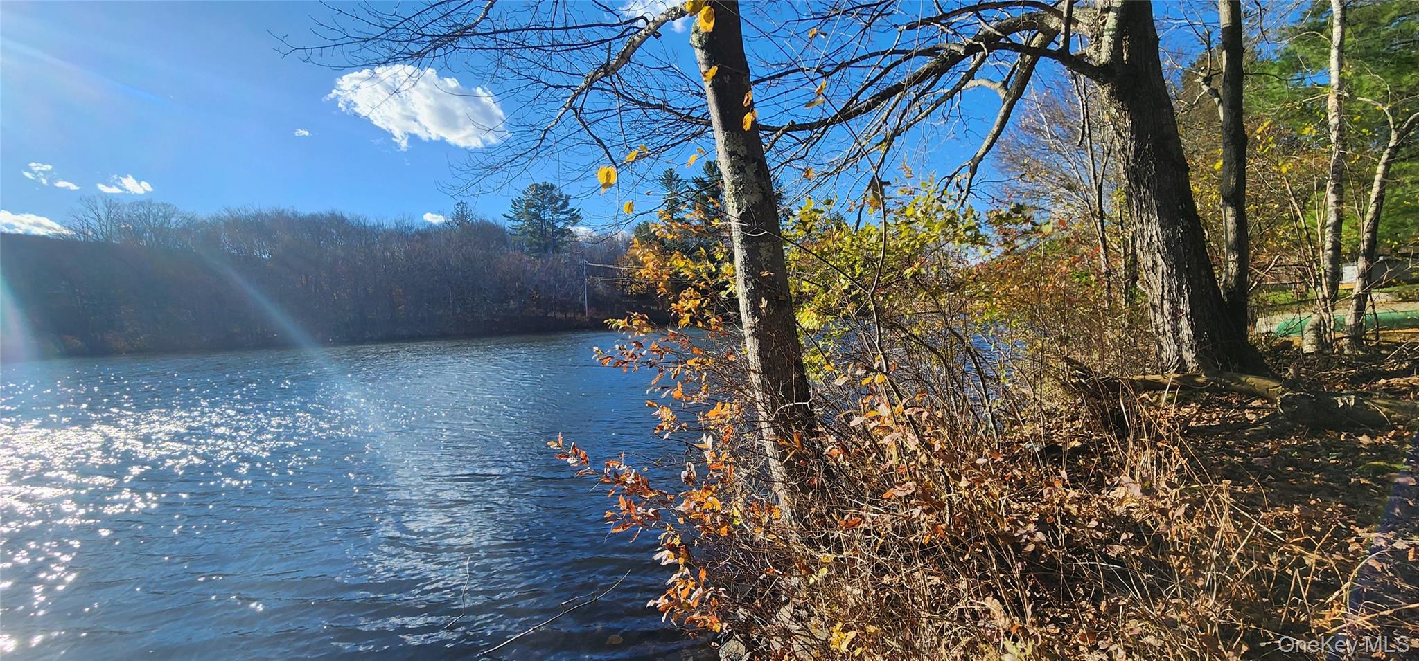 #17 photo, 371 Kelly Bridge Road, Swan Lake , NY 12783