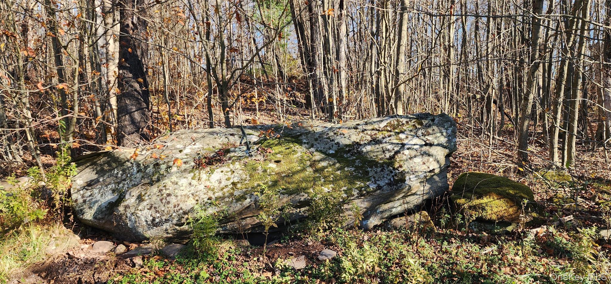 #19 photo, 371 Kelly Bridge Road, Swan Lake , NY 12783