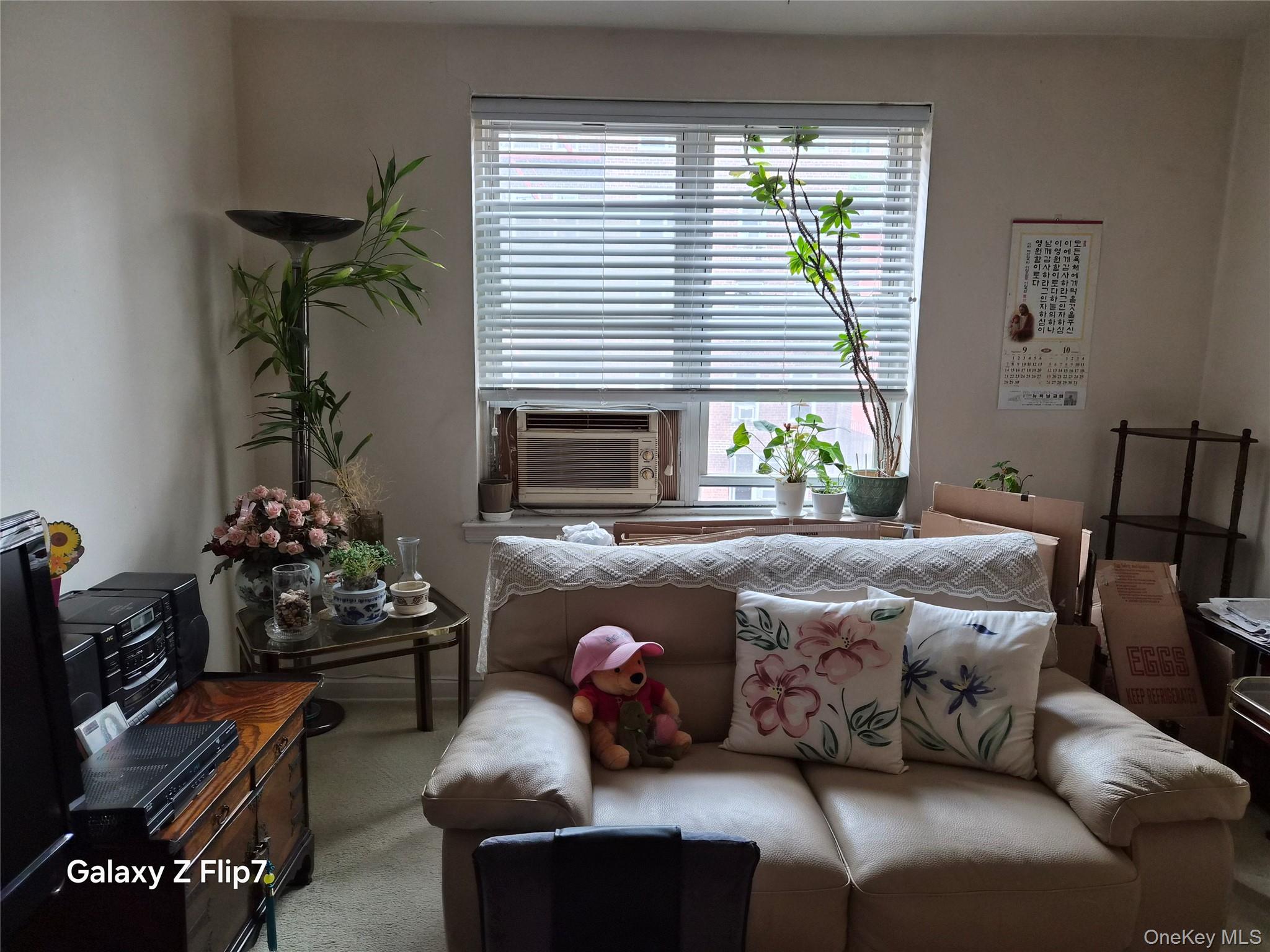 #5 photo, 39-65 51 Street, Woodside , NY 11377