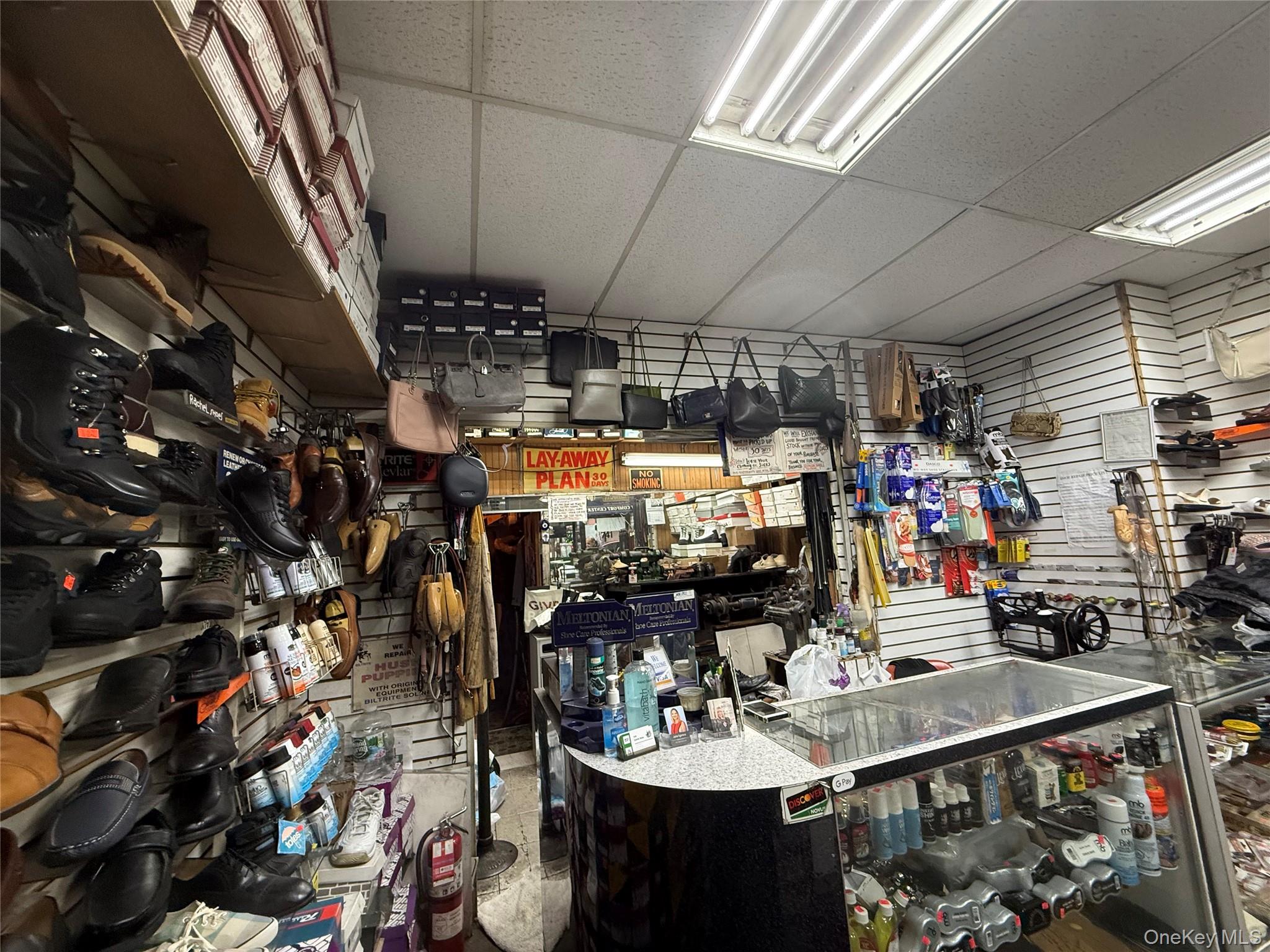 #11 photo, 741 Lydig Avenue, Bronx , NY 10462