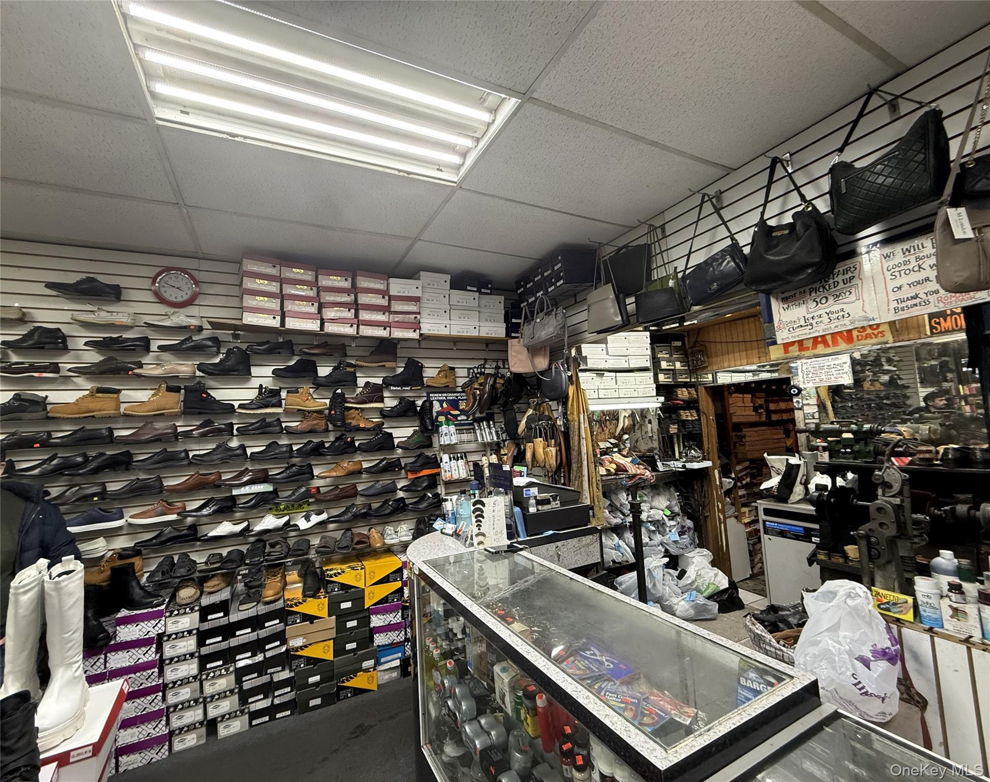 #12 photo, 741 Lydig Avenue, Bronx , NY 10462