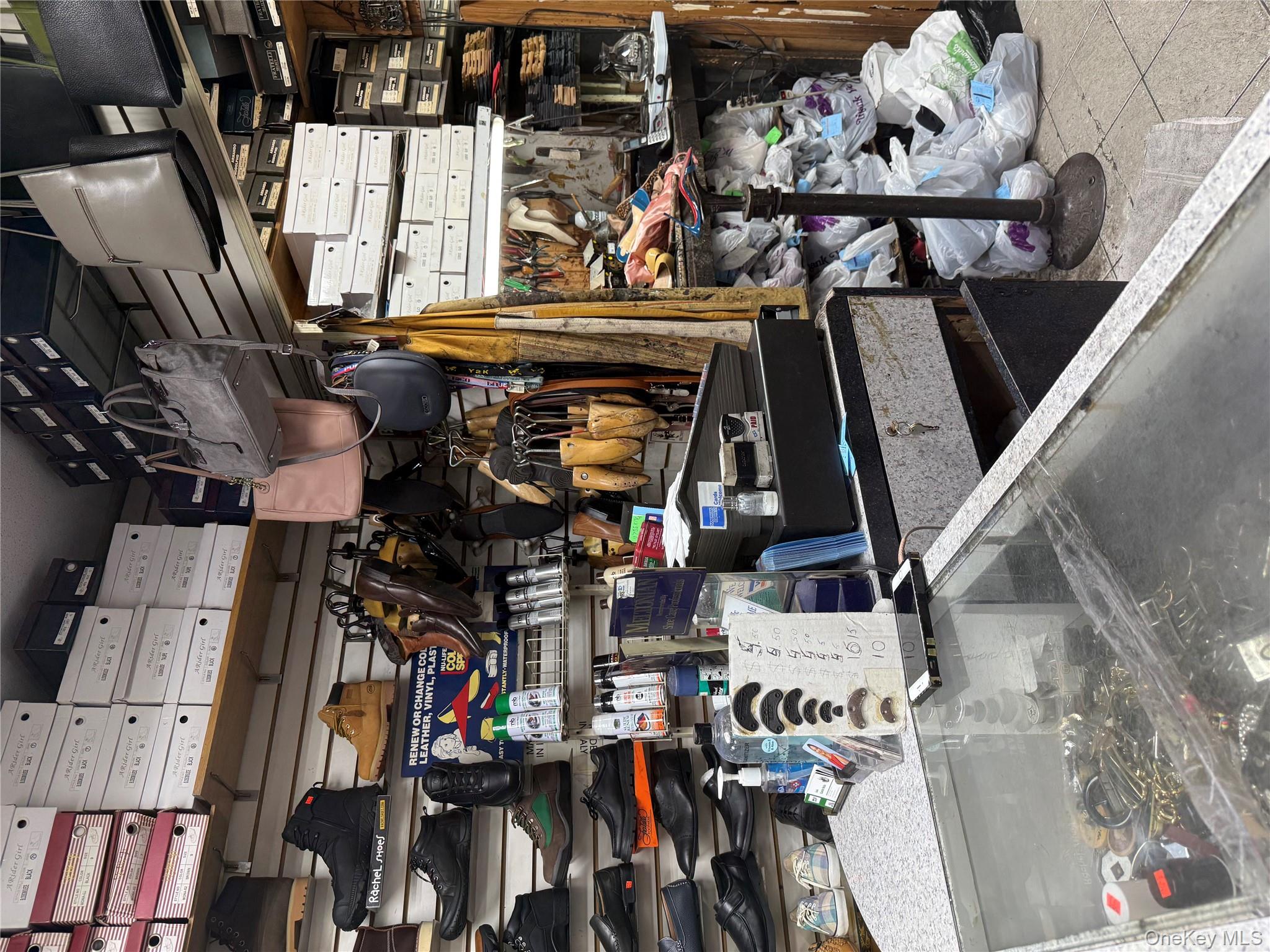 #18 photo, 741 Lydig Avenue, Bronx , NY 10462